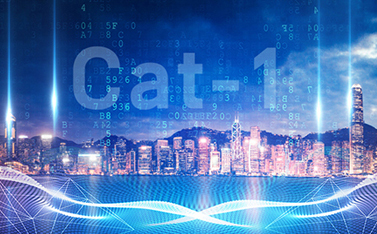 工信部重磅发文，Cat-1/NB-IoT再次站上新风口